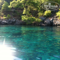 фото из отзыва ID 453990