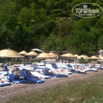 фото из отзыва ID 453990