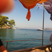 фото из отзыва ID 453990