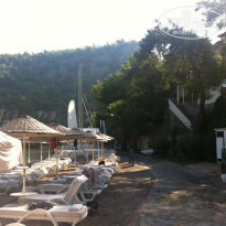 фото из отзыва ID 453990