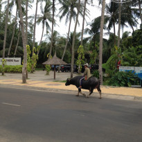 фото из отзыва ID 454273