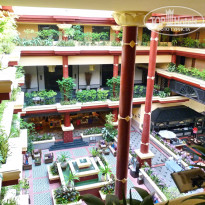 фото из отзыва ID 454070