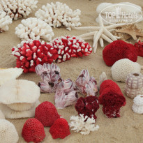 фото из отзыва ID 454195