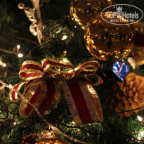 фото из отзыва ID 454195