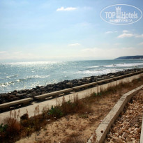 фото из отзыва ID 454306