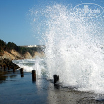 фото из отзыва ID 454306