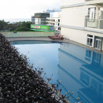 фото из отзыва ID 454492