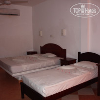 фото из отзыва ID 454684