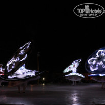 фото из отзыва ID 454844