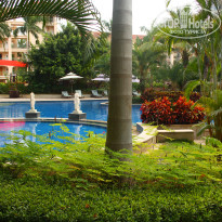 фото из отзыва ID 454034