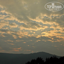 фото из отзыва ID 454195