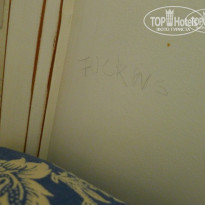 фото из отзыва ID 455308