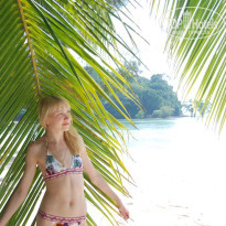 фото из отзыва ID 455532