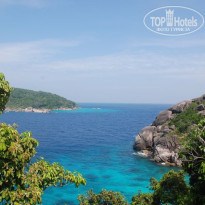 фото из отзыва ID 455532