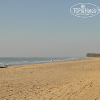 фото из отзыва ID 455659