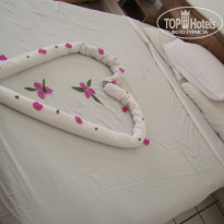 фото из отзыва ID 455845