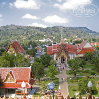 фото из отзыва ID 455849