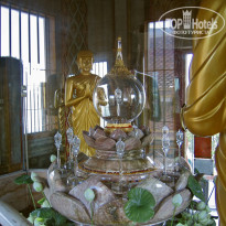 фото из отзыва ID 455849