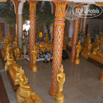 фото из отзыва ID 455849