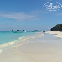 фото из отзыва ID 455849