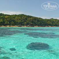 фото из отзыва ID 455849