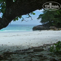 фото из отзыва ID 455849