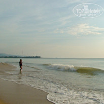 фото из отзыва ID 455849