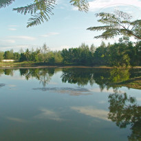 фото из отзыва ID 455849