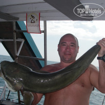 фото из отзыва ID 455994