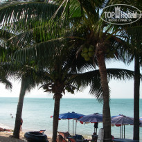 фото из отзыва ID 455994