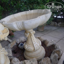 фото из отзыва ID 455308