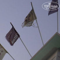 фото из отзыва ID 455308