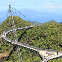 фото из отзыва ID 455086