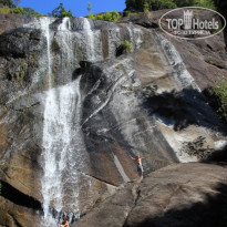 фото из отзыва ID 455086