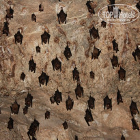 фото из отзыва ID 455086