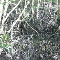 фото из отзыва ID 455086