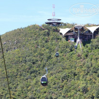 фото из отзыва ID 455086