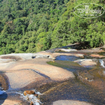 фото из отзыва ID 455086