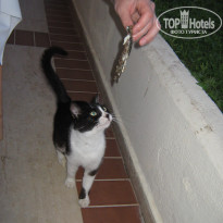 фото из отзыва ID 455995