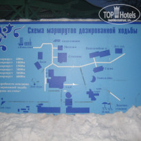 фото из отзыва ID 456398