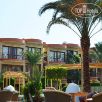 фото из отзыва ID 456411