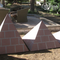 фото из отзыва ID 456411