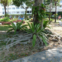 фото из отзыва ID 456364