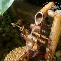 фото из отзыва ID 457131