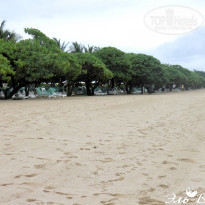 фото из отзыва ID 457339