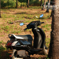 фото из отзыва ID 457347