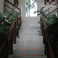 фото из отзыва ID 457404