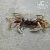 фото из отзыва ID 457404