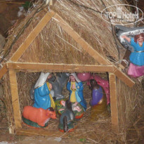 фото из отзыва ID 457447