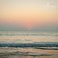 фото из отзыва ID 457478